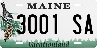 ME license plate 3001SA