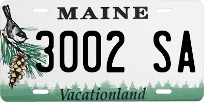 ME license plate 3002SA
