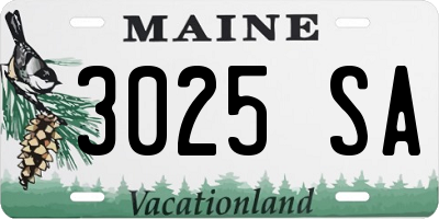 ME license plate 3025SA