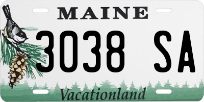 ME license plate 3038SA