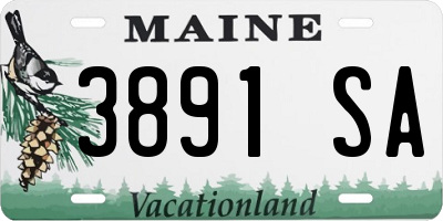 ME license plate 3891SA