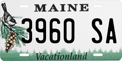 ME license plate 3960SA
