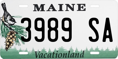 ME license plate 3989SA