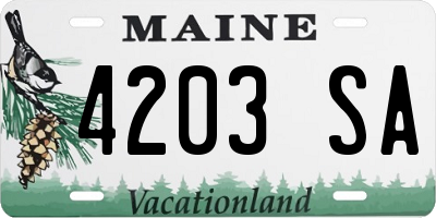 ME license plate 4203SA