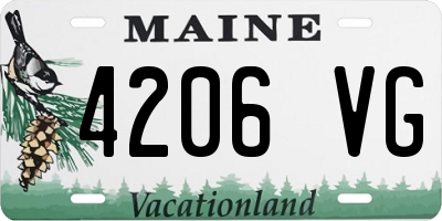 ME license plate 4206VG