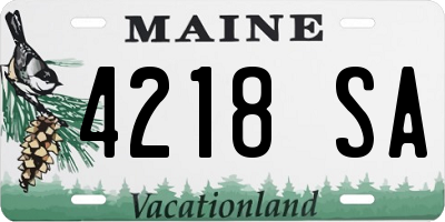 ME license plate 4218SA