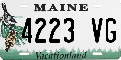 ME license plate 4223VG