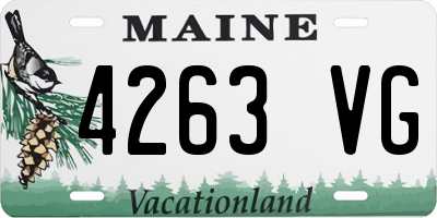 ME license plate 4263VG