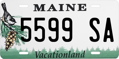 ME license plate 5599SA