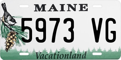 ME license plate 5973VG