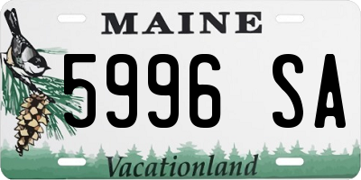 ME license plate 5996SA