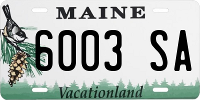 ME license plate 6003SA