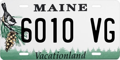 ME license plate 6010VG