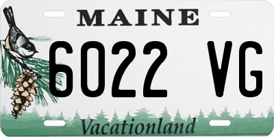 ME license plate 6022VG