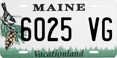 ME license plate 6025VG