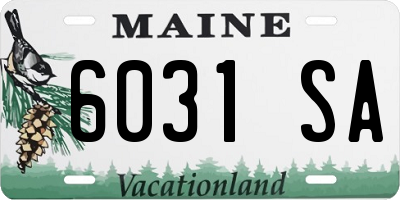ME license plate 6031SA