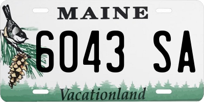 ME license plate 6043SA