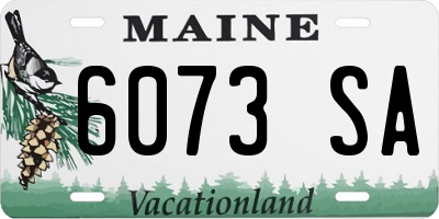 ME license plate 6073SA
