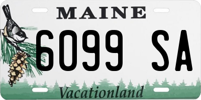ME license plate 6099SA