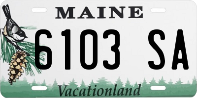 ME license plate 6103SA