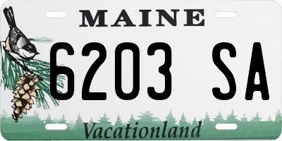 ME license plate 6203SA