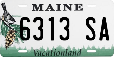 ME license plate 6313SA