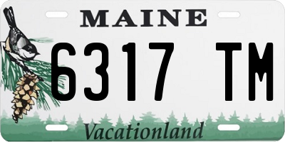 ME license plate 6317TM