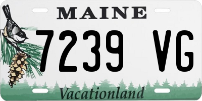 ME license plate 7239VG
