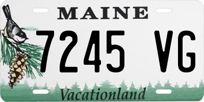 ME license plate 7245VG