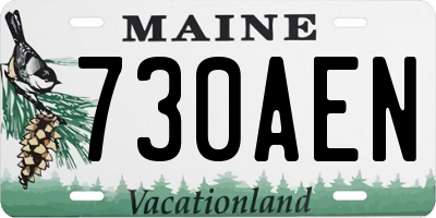 ME license plate 730AEN