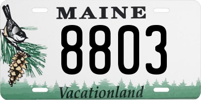 ME license plate 8803