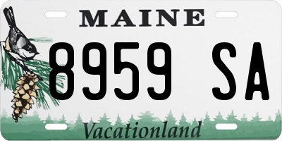 ME license plate 8959SA