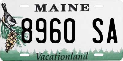 ME license plate 8960SA