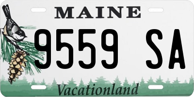 ME license plate 9559SA