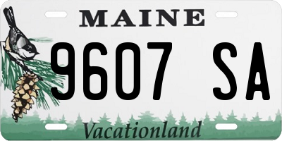 ME license plate 9607SA