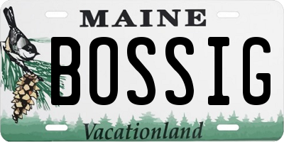 ME license plate BOSSIG