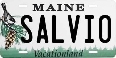 ME license plate SALVIO
