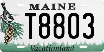 ME license plate T8803