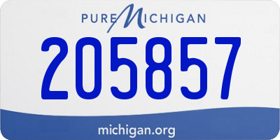 MI license plate 205857