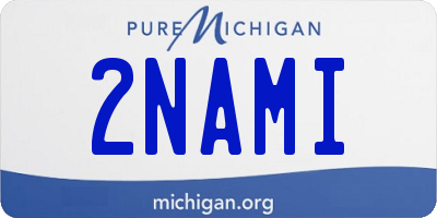 MI license plate 2NAMI
