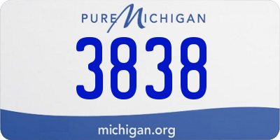 MI license plate 3838