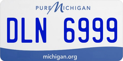 MI license plate DLN6999
