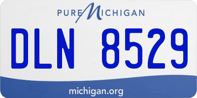 MI license plate DLN8529