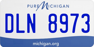 MI license plate DLN8973