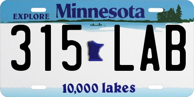 MN license plate 315LAB