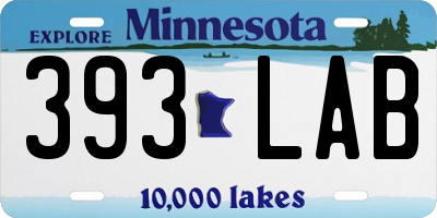 MN license plate 393LAB