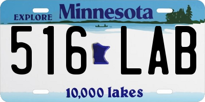 MN license plate 516LAB