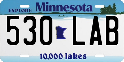 MN license plate 530LAB