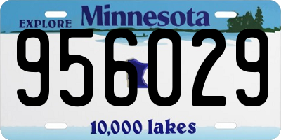 MN license plate 956029