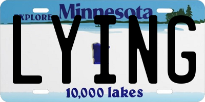 MN license plate LYING